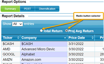portfolio summary report radio button